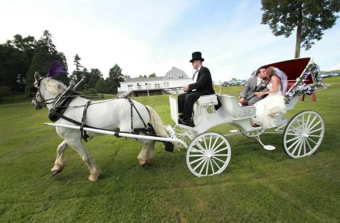 Varian Orchards 5 Varian Orchards - Image 5